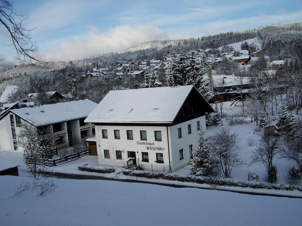 Pension Wiesenau Bayerisch Eisenstein Zewnętrze zdjęcie